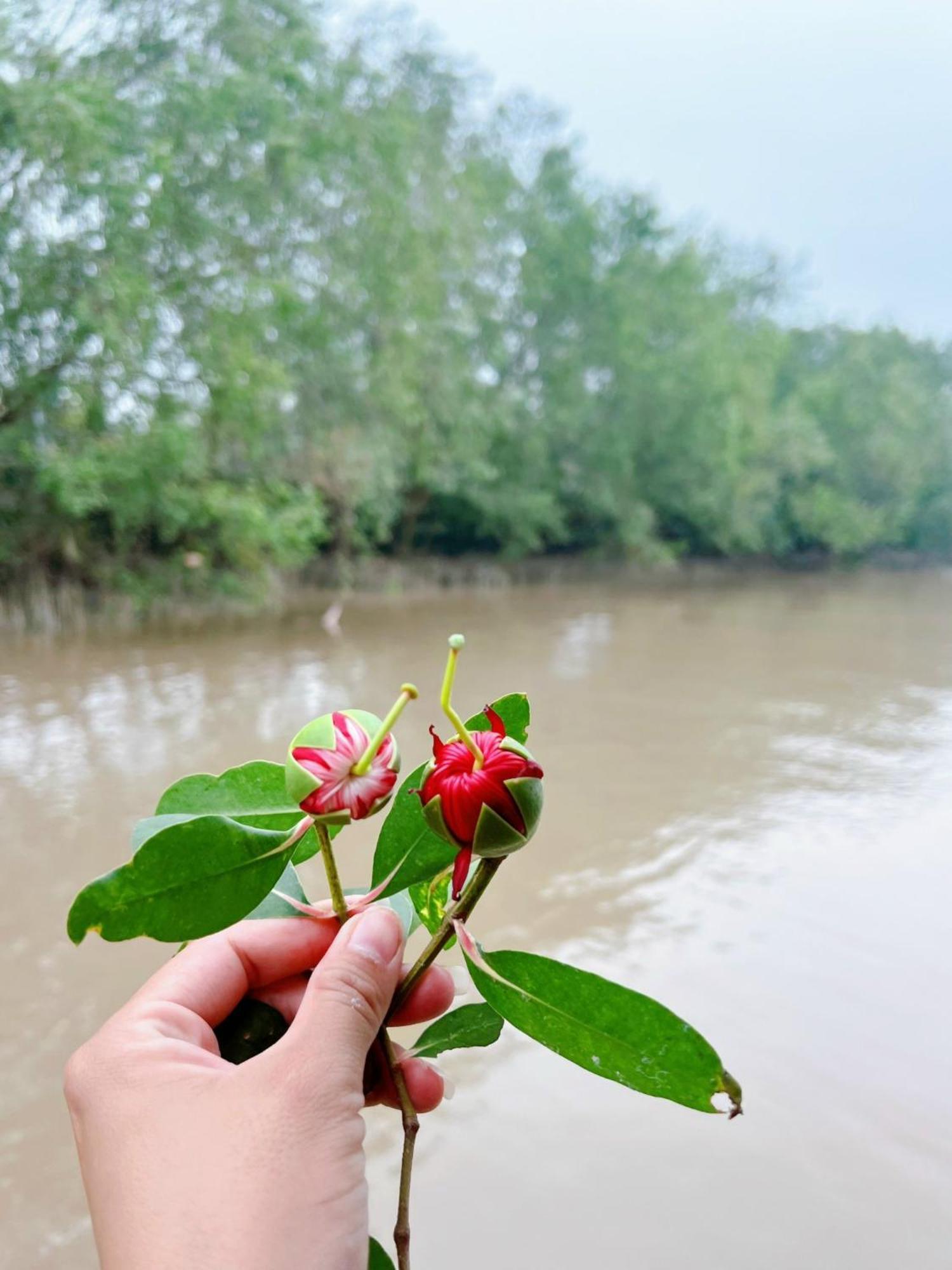 Hide Away Bungalows In Ben Tre City Экстерьер фото