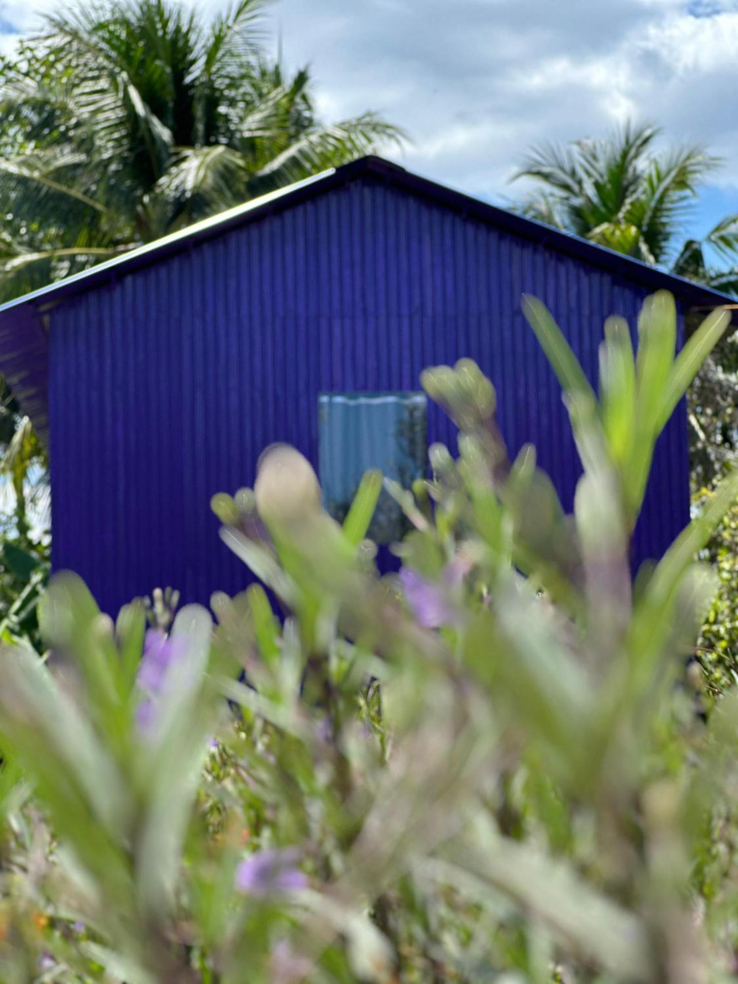 Hide Away Bungalows In Ben Tre City Экстерьер фото